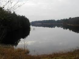 Dec 03, 2020 · you may have reached this page because the site or link you have tried to access no longer exists. Salmon Falls River Fishing Me Fish Finder