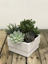 We create all aspects of floral decor from everyday gifts, sympathy tributes, weddings and corporate events. Bloomers Flowers Decor 1386 E 100 S Saint George Ut Florists Mapquest