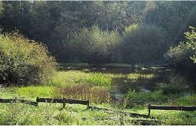 Déstockage et fin de série de meubles, salles à manger, salons, cuisine, chambre à coucher. Seraing Photos Featured Images Of Seraing Liege Province Tripadvisor