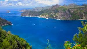 Image result for Tragia okanyua