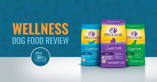 wellness dog food review recalls ingredients analysis in