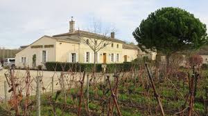 Les besoins quotidiens en cuivre. Bruxelles A Prolonge L Utilisation Du Sulfate De Cuivre Pour 7 Ans Mais En Limitant Les Doses Reaction Des Vignerons Bio D Aquitaine Cote Chateaux France 3
