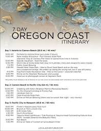The Ultimate Oregon Coast Road Trip All The Best Stops Oregon Road Trip Oregon Coast Roadtrip Oregon Travel