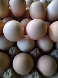 Update juni 2021 ✅ harga telur ayam di berbagai kota terbaru. Harga Telur Di Pasar Tradisional Pangkalpinang Naik Okeyboz Com