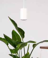 Large Grow Light Bloomscape