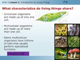 We did not find results for: Unit 1 Lesson 1 Introduction To Living Things Ppt Download