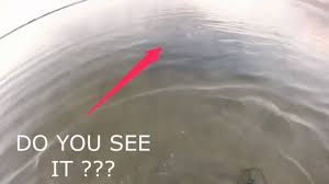 Any beach has several zones where you can hunt. Metal Detecting In Navarre Beach Florida Subscribe To My Channel And Hit The Like Button Thank You Metal Detecting Navarre Beach Florida Treasure Hunt