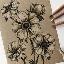 Alice On Instagram Anemones My First Flowers With Coloured Pencils I Mean The First That Deserves To Be Floral Drawing Flower Sketches Flower Art