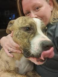 Richmond IN lost pets 🐕‍🦺and other pet🐈 needs.🐾