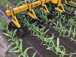 During the summer players of all ages will experience the beautiful game of soccer and futsal. Busa Landkracht Agri