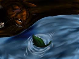 Some sort of force always kept her coming for him and so they always met secretly once a moon. Male Leafpool Starclan Forever Together Various Warrior Cats X Reader Oneshots Depression On Hold