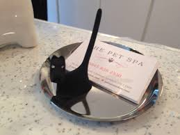 Check spelling or type a new query. The Pet Spa Miss Darcy S Adventures