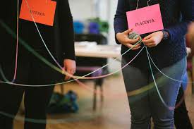 How long does it take to be a doula. Denver Birth Doula Training Workshops Become A Dona Certified Doula
