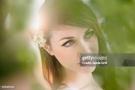 312 Jersey Daisy Stock Photos, High-Res Pictures, and Images