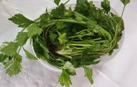 Petua simpan daun sup agar kekal segar & tahan lama. Sinar Nak Daun Sup Tahan Lama Simpan Dalam Bekas Yang Facebook