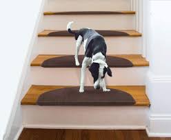 Choose from sets ranging from three to 13 stair treads as well as some that include matching landing mats. Bullnose Carpet Stair Treads You Ll Love In 2021 Visualhunt