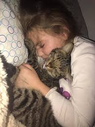 Found kitten near sandy hollow golf course in rockford