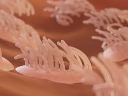 Langt de fleste aborter indtræffer dog så tidligt i graviditeten, at kvinden ikke engang har en mistanke om at hun er gravid endnu. Gravid Uke For Uke Libero