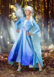 Deluxe Frozen 2 Womens Elsa Costume