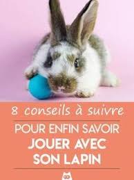 Epingle Sur Animal