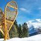 Winter Break Day Camp: Alaska Winter Survival (Ages 7-9)