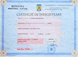 Adăugare sau schimbare obiect de activitate. Infiintare Ii 100 Online Fara Notar Fara Stat La Cozi