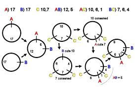 Circular Restriction Mapping