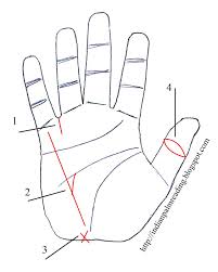 Pin On Divination Palmistry