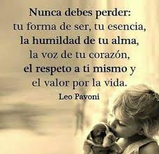 Nunca Pierdas Frases Motivadoras Frases Bonitas Frases Pensamientos