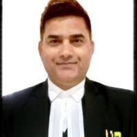 100+ "Law Chambers" profiles