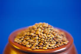 Image result for Macrotyloma uniflorum