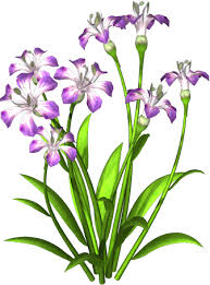 Download and use 10,000+ flowers stock videos for free. Res Purple Flowers Png By Hanabell1 On Deviantart