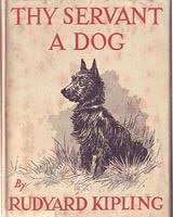 The art of racing in the rain (hardcover) by. The Dog And The Novel Loyal Companions On Abebooks