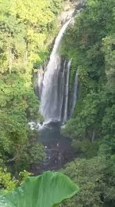 Air terjun ini sudah dikenal baik oleh wisman. Air Terjun Tiu Kelep Picture Of Panorama Picture Tours Senaru Tripadvisor