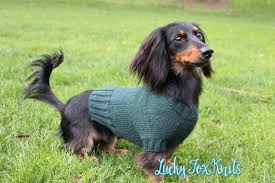 Dec, decrease (by taking 2 sts tog); Knitting Pattern Mini Dachshund Dog Sweater Cloud 9 Pet Etsy Dachshund Dog Sweaters Dog Sweater Pattern Mini Dachshund