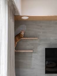 寵物住宅pet housing design design house design home decor