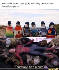 Australia S Oldest Man 109 Knits Tiny Sweaters For Injured Penguins Carefully He S A Hero Chore Ifunny Penguins Funny Cute Stories Funny Memes
