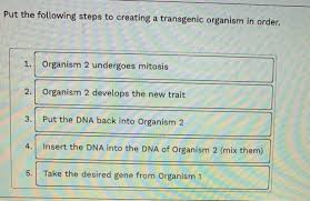A transgene, like any other gene, indirectly codes for a protein, which corresponds to a particular trait. Solved Put The Following Steps To Creating A Transgenic O Chegg Com