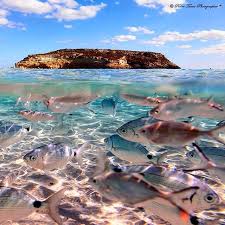 Lampedusa And Linosa Visit Sicily Official Page Visit Sicily Sicily Places To Visit