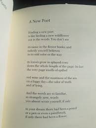 linda pastan a new poet wholeness prose poet
