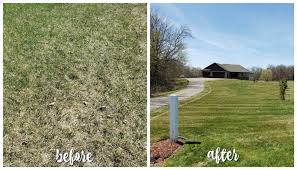 Check for thatch during fall cleanup or early spring by pulling a plug or by pushing in a spade and turning up a piece of turf. Lawn Dethatching Service Maple Lake Mn Clean Cut Turf Lawn Care Snow Removal Annandale Mn