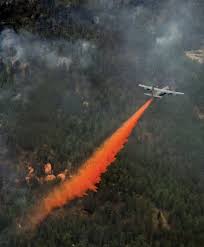 Image result for tbn:XVFRz-6Maj2JLM::www.jolmag.co.za/wildfire/images/Logos/vuvuzela_header.jpg