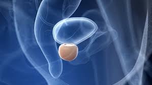 Wir bieten die vorsorge, diagnostik, therapie und nachsorge eines großen spektrums der urologie und andrologie an. Prostataentzundung Erkennen Und Behandeln Ndr De Ratgeber Gesundheit