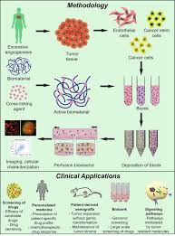 Image result for Angiogenesis