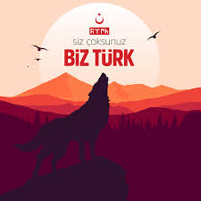 E Ka Adli Kullanicinin Kurt Wolf Panosundaki Pin Cizim Turkler Iphone Arkaplanlari