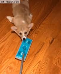 I don't own these clips.#bongocat #bongocatmeme #meme #memes #bongocatmemes20 minutes of the most fire. Animated Memes Clean Page 1 Line 17qq Com