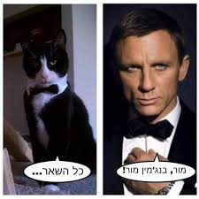 עצור🛑 כל צבעי הטיפקס! מכירות את מור? "בנג'מין מור". זה נשמע כמו השם של  ג'ימס בונד 007, אבל בנג'מין מור, זה למעשה הצבע הכי טוב בעולם לקירות הבית  בפנים ובחוץ. עד היום