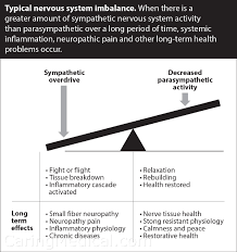 Image result for Sympathetic Nervous System