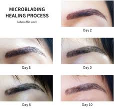 Eyebrow Microblading Embroidery Review Before After