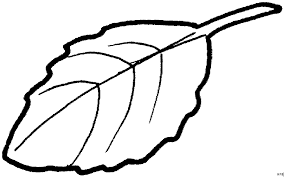 Blatt, bäume, natur, image information used with permission author : Malvorlagen Blumen Und Blatter Coloring And Malvorlagan